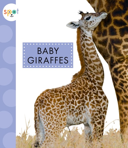 Baby Giraffes (Spot)