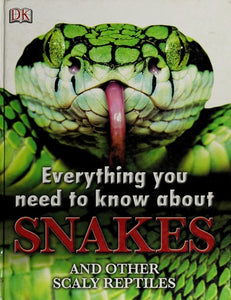 Everything You Need to Know About Snakes