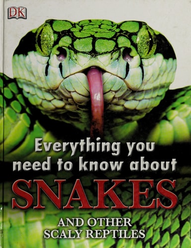 Everything You Need to Know About Snakes