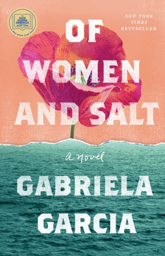 Of Women and Salt: A Novel