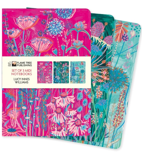 Lucy Innes Williams Set of 3 Midi Notebooks (Midi Notebook Collections)